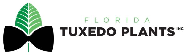 Florida Tuxedo Plants